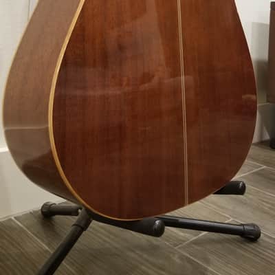 Immagine Hohner HG-905 - 11
