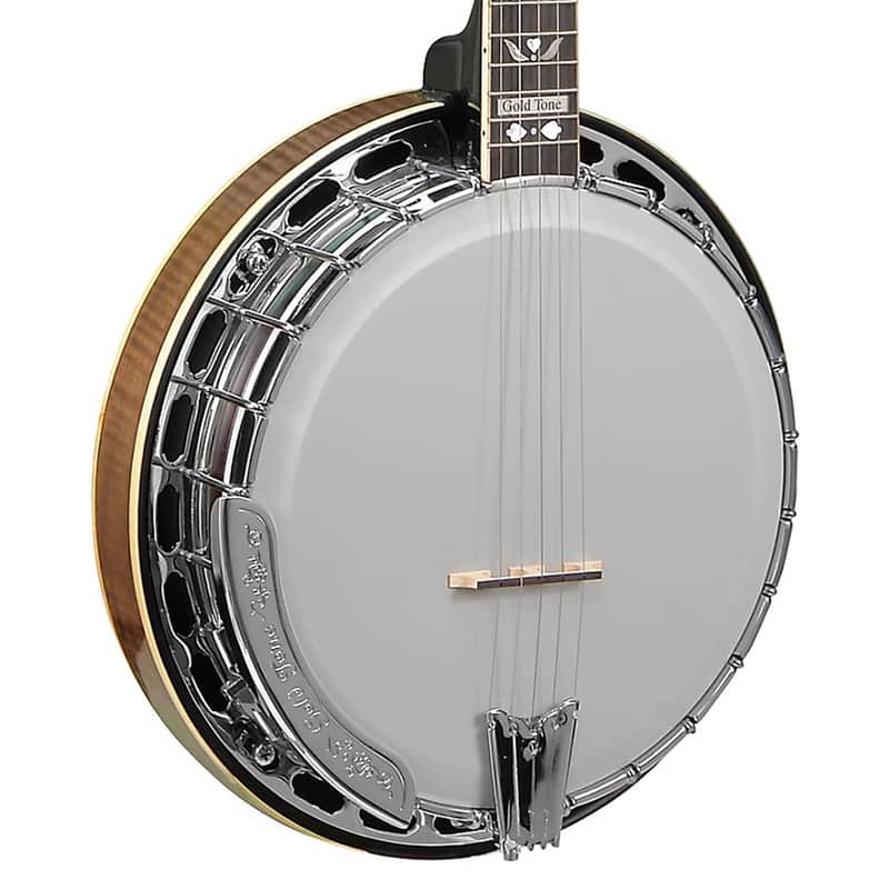 Gold Tone OB-250AT Professional Archtop Bluegrass Banjo image 1