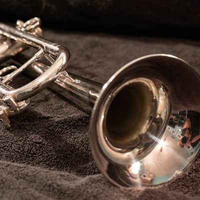 PHIL DRISCOLL MIGHTY HORN Bb trumpet by HOLTON (Limited Edition) image 8