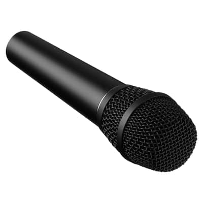 Earthworks Audio SR117 Supercardioid Vocal Condenser Microphone image 2