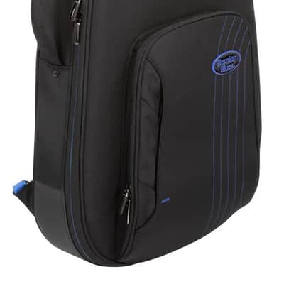 Reunion Blues Expedition Semi-Hollow Electric Guitar Case image 3