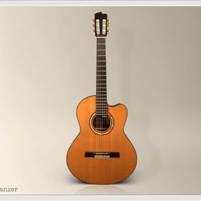 Linda Manzer Nylon String image 9