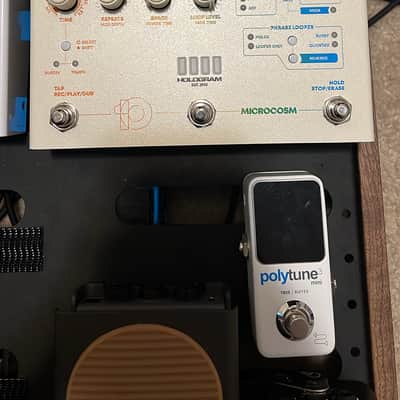 Hologram Electronics Microcosm | Reverb