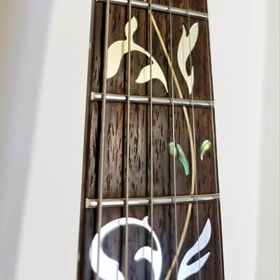 2024 Ibanez PIA – Onyx Black – Steve Vai Signature guitar - Excellent Condition + Ibanez Hardcase image 13