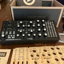 Moog Subharmonicon 2020 - Present - Black