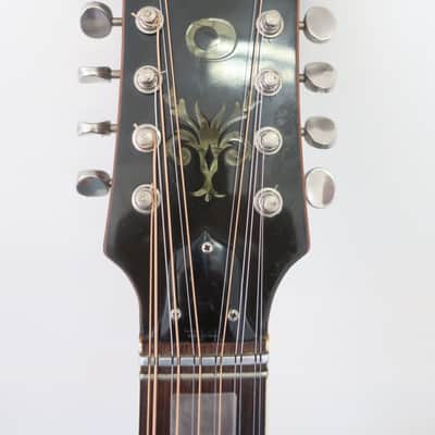 Vintage 1960's Eko Rio Bravo XII Made in Italy 12 String Acoustic Guitar Works Great Solid Player Low Action Sounds Huge Vox image 24