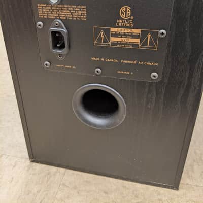 Sound Dynamics RTS-P100 Floor Standing Speakers (Black) image 8