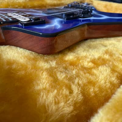 Washburn dimebag  D3  1998 Dimebolt image 6