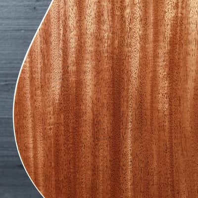 Taylor Gold Label 517e SB Mahogany / Torrified Spruce Acoustic-Electric Guitar image 18