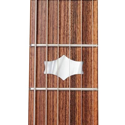 Deering Goodtime Six-R 6 String Banjo image 6