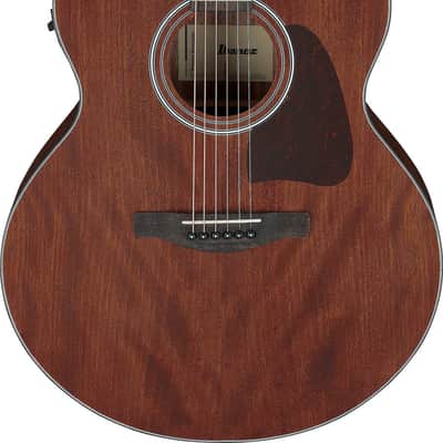 Ibanez AJ54E Artwood Jumbo Acoustic Electric Guitar - Open Pore Natural (AJ54EOPN) image 10
