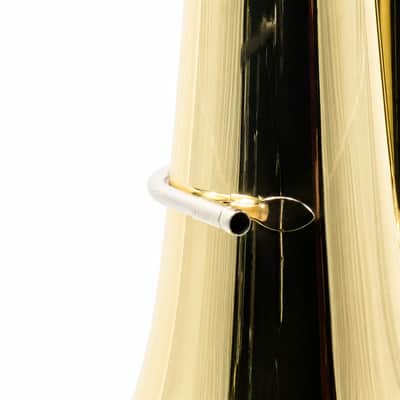 Eastman EBB534 Professional BBb 4/4 Tuba in Clear Lacquer SN Y2600055 image 14
