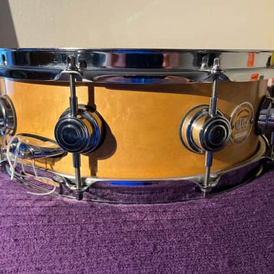 DW Collector's Series Maple 5x14" Snare Drum image 7