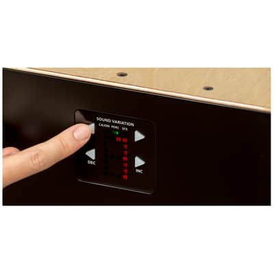 Roland EC-10 El Cajon Electronic Layered Cajon - Open Box image 5