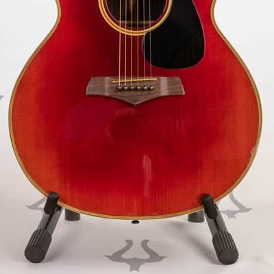 Daion Year Series '82 Six String Acoustic image 3