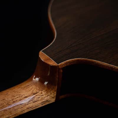 Junio Americo 10-String Mandolin | Brazil (with VS Tuners) image 7