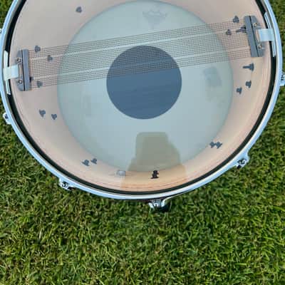 Pork Pie P'Lux Maple Brass 7"x14" Porcaro Blue Gloss image 4
