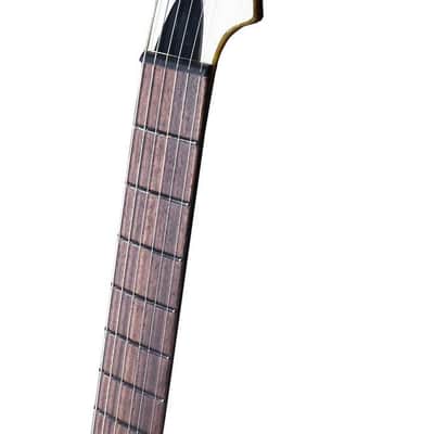 Chapman Chris Robertson Signature SAR63 Semi-Hollow #H23120137 image 10