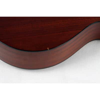 Gold Tone Mastertone TG-18 Tenor Guitar With Vintage Design image 5