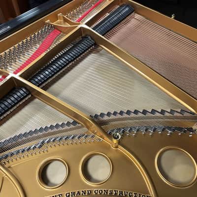 Steinway Model O 5'10" Grand Piano 1921 (Restored) - Satin Ebony image 19