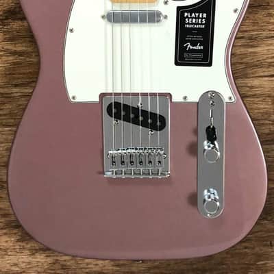 BRAND NEW Fender Telecaster Player Series Limited Edition - Burgundy Mist Metallic FREE SHIPPING Only 6 More Days Until This Guitar Is Taken Down Sale or No Sale image 1