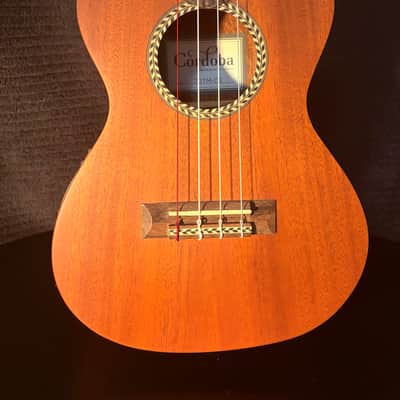 Cordoba 20TM-CE Tenor Cutaway Acoustic-Electric Ukulele with Hardshell Case image 3