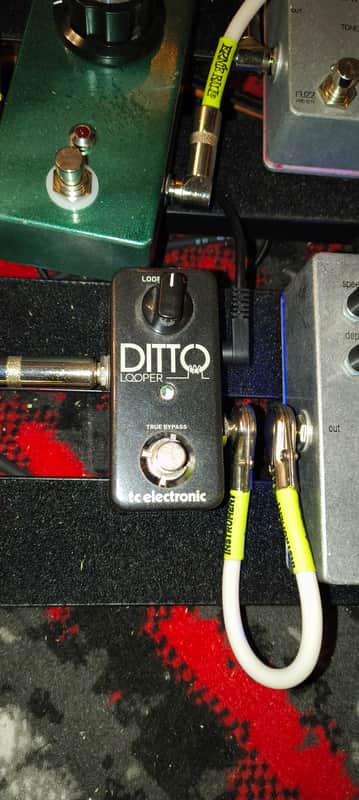 TC Electronic Ditto Looper