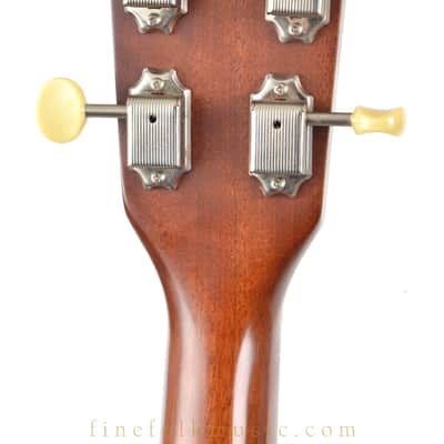 2008 GOLDTONE TG-18 TENOR GUITAR image 14