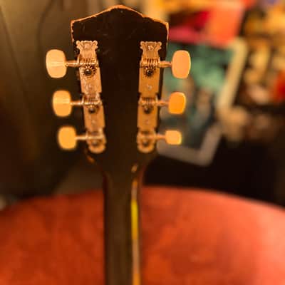 Alden Tuxedo Guitar 1959-1969 - Black n white image 9