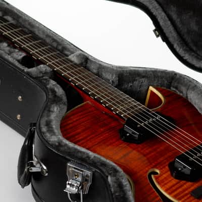 Eastman AR380CE John Pisano Signature Archtop 2016 Honeyburst image 19