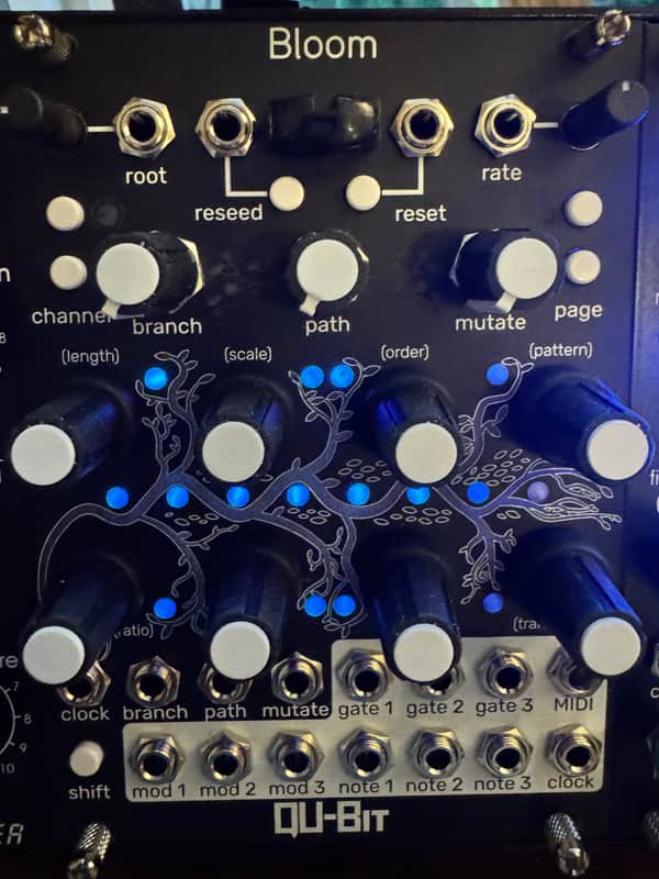 Qu-Bit Electronix Bloom V2