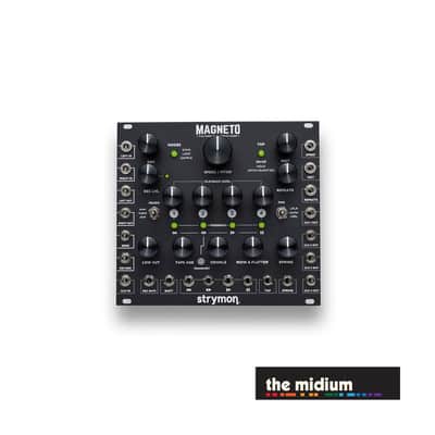 Strymon Magneto four head dTape echo & looper module image 2
