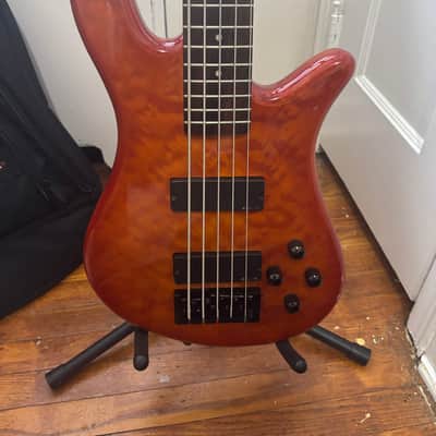Spector Q5 Early 2000’s - Amber image 1