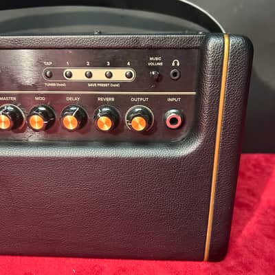Positive Grid Spark 40 40-Watt 2x4" Modeling Guitar Combo 2020 - Present - Black image 3