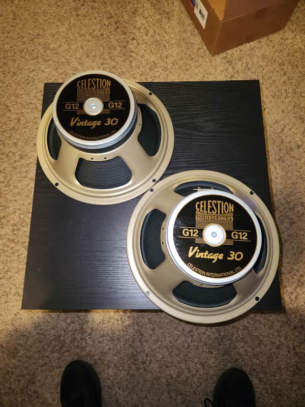 Celestion G12 Vintage 30 12" 60-Watt 8ohm Guitar Amp Speaker