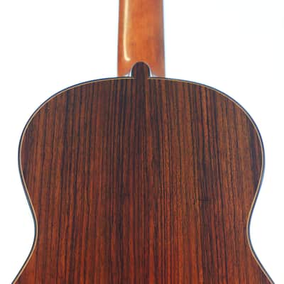 Eugenio Riba 2020 Classical Guitar "La Pluma" – A Masterful Copy of an Antonio de Torres Guitar - Check Video! image 7