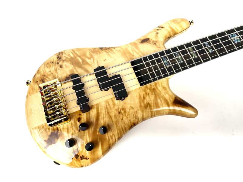 Spector Euro CST 5st. 2026 - Gloss Natural image 1