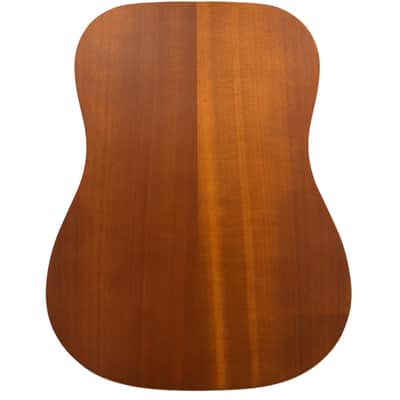 Nashville Guitarworks Guitar - Acoustic D10 Dreadnought image 2
