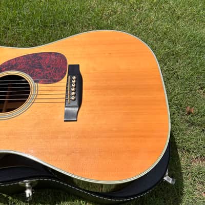 Vintage 1979 Martin D-35 w/ Modern HSC image 2