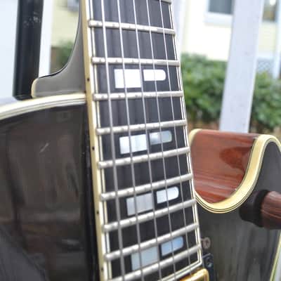 Immagine Polytone Improv I Archtop Jazzbox - RARE - Japan - 7