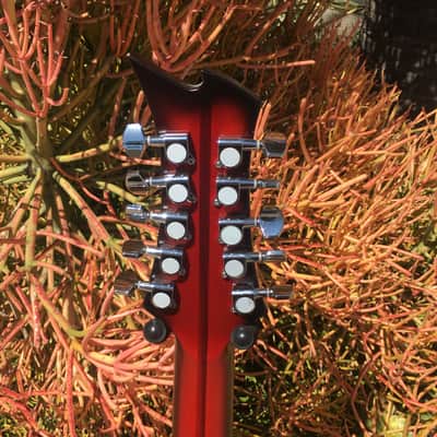 Del Rio/Pasaye Bajo quinto Red image 6