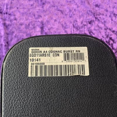 Godin Hardcase for A4 Ultra Bass or other bass models* Robust made in Canada * in very good condition except for one broken latch *RC-19* image 8