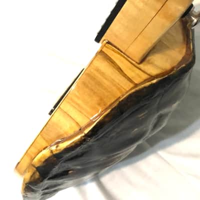 Turtle Shell Soprano Ukulele image 11
