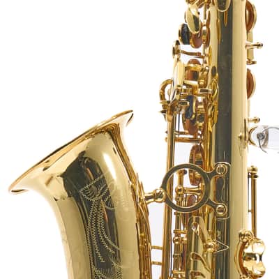 Giardinelli by Eastman GAS10 Alto Saxophone in Gold Lacquer SN 11533980 image 12