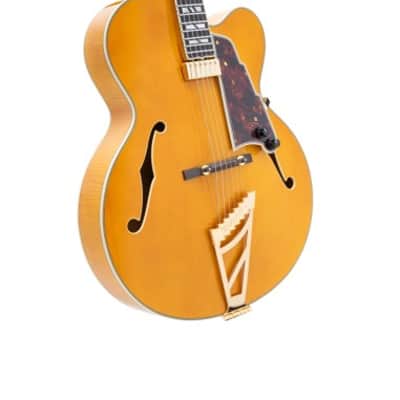 D'ANGELICO EXCEL EXL1 AMBER image 4