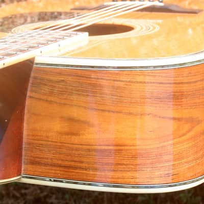1978 Yairi  YW-600 Coral Rosewood(New Jacaranda ) Body Natural Bargain image 11