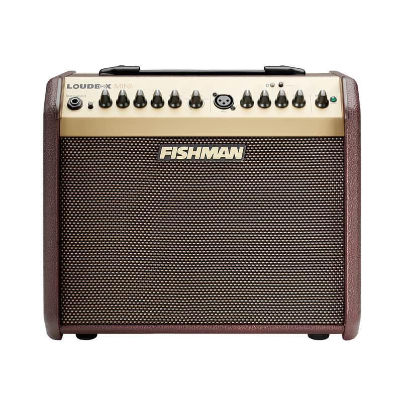 Fishman Loudbox Mini PRO-LBT-500 *Free Shipping in the USA* image 1
