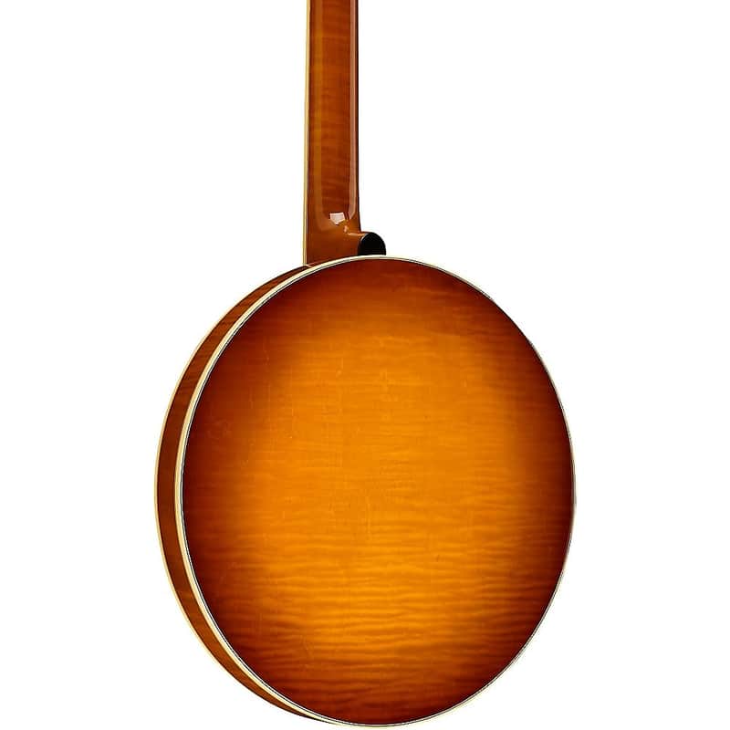 Recording King RK-M5 USA Series Resonator Banjo image 4