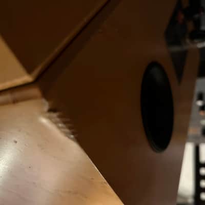 Sonics Anima by Joachim Gerhard with Class D Amp image 9