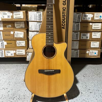 単板トップIbanez AEL40SE RLV1201/訳あり ギグケース付 【公式通販】